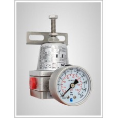 SITECNA 不銹鋼壓力調節器1/4"NPT系列