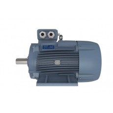 motive 三相電機(jī)160-355系列