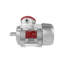 motive 三相電機(jī)DELFIRE系列