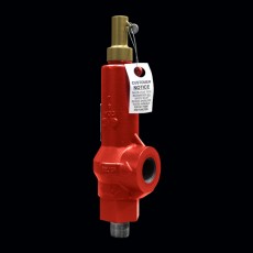Taylor Valve 壓力泄壓閥19BV系列
