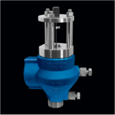 Taylor Valve ESV隔離閥A型系列