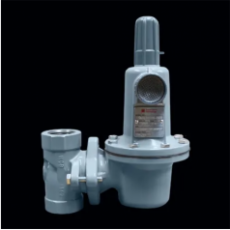 Taylor Valve 壓力調(diào)節(jié)器5646C型系列