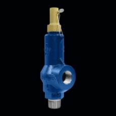 Taylor Valve 安全泄壓閥8400系列