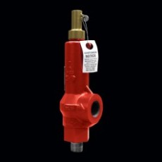 Taylor Valve 壓力泄壓閥19BV系列