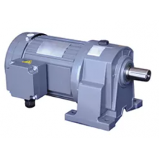 TECNODRIVE 同軸齒輪電機GH/GV系列